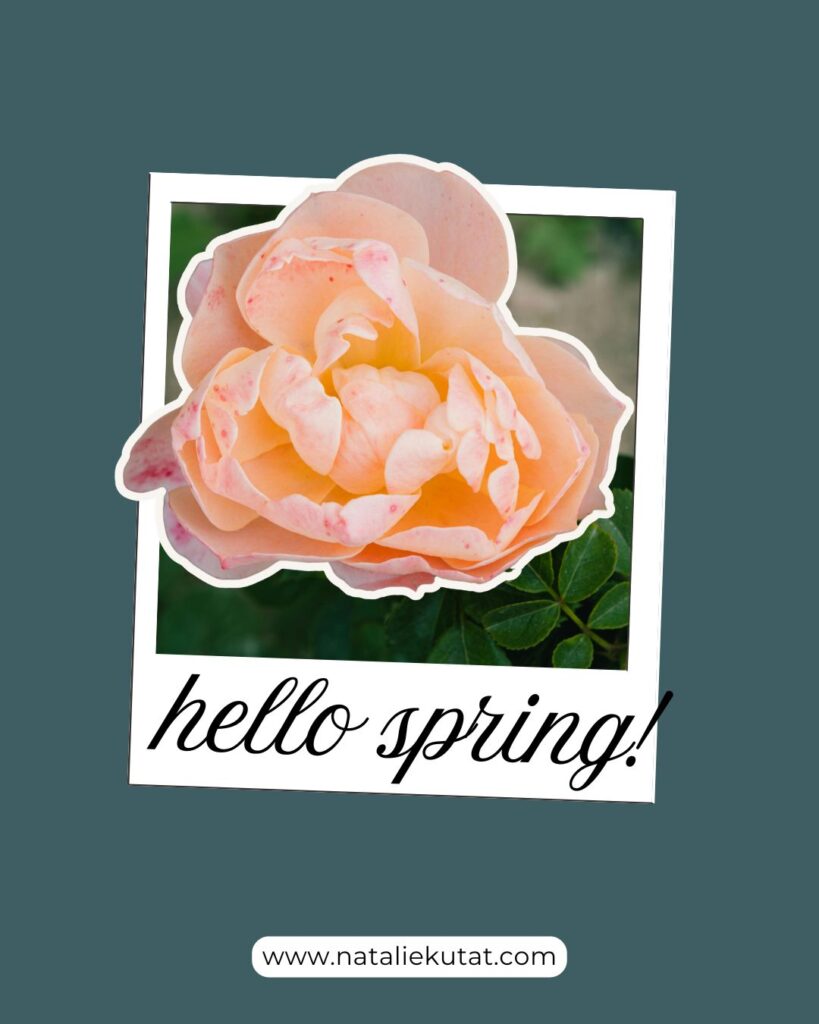 hello spring
